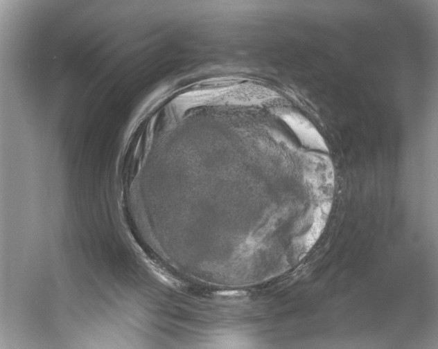 X0000053140053200508081355