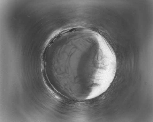 X0000053140054200508081355