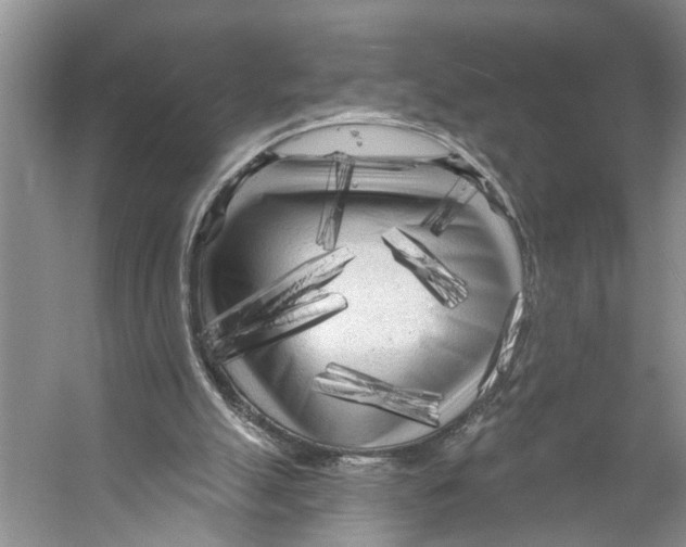 X0000053140055200508081355