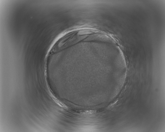 X0000053140056200508081355