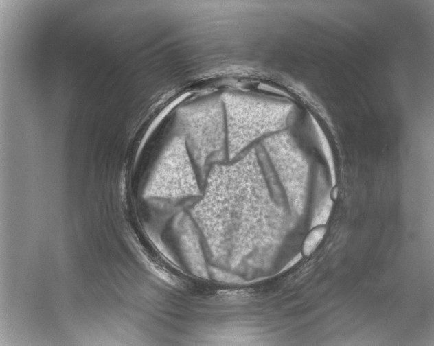 X0000053140057200508081355