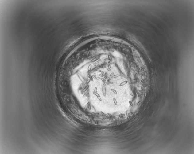 X0000053140058200508081355