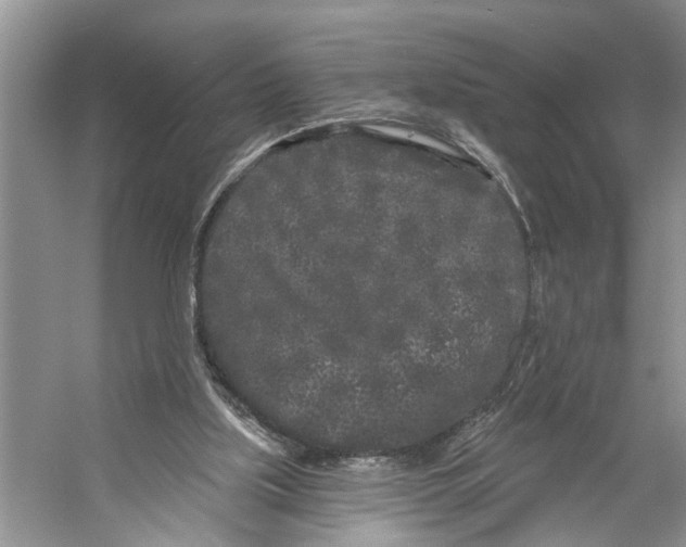 X0000053140059200508081355