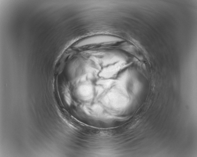 X0000053140060200508081355