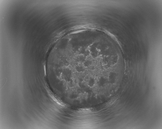 X0000053140061200508081355