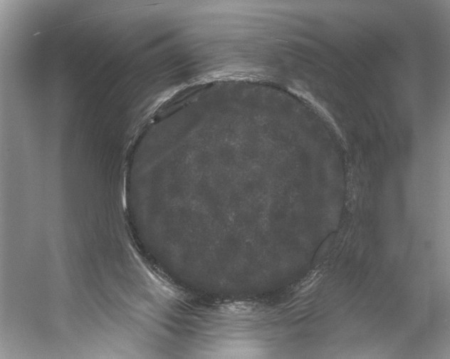 X0000053140062200508081355