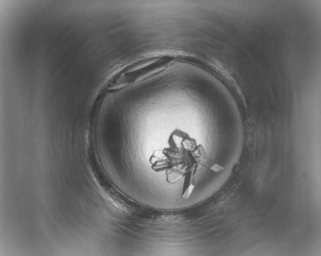 X0000053140063200508081355