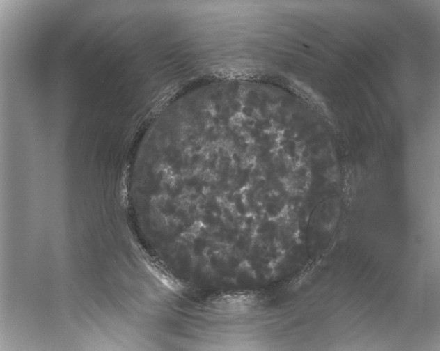 X0000053140065200508081355