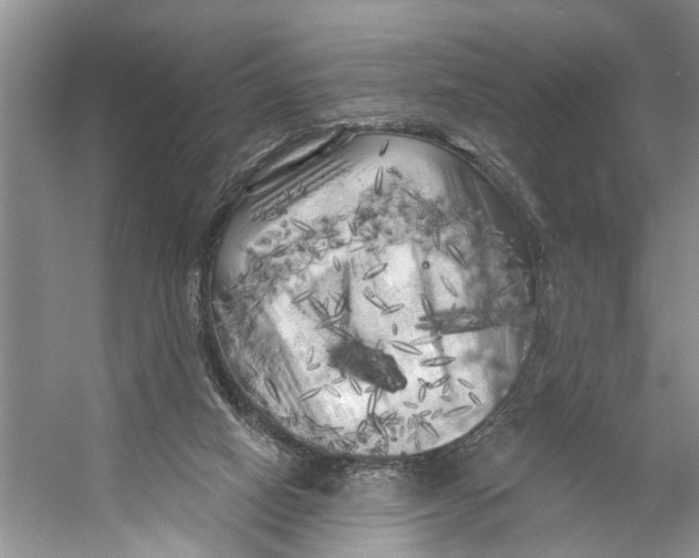 X0000053140066200508081355