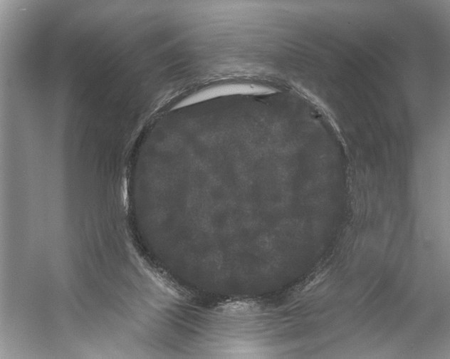 X0000053140067200508081355