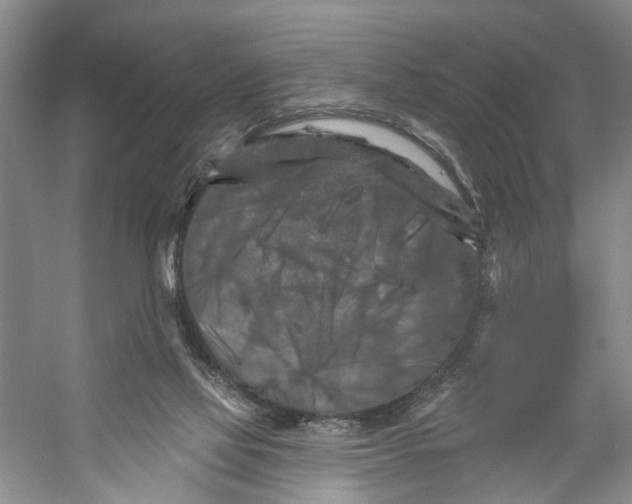 X0000053140069200508081355