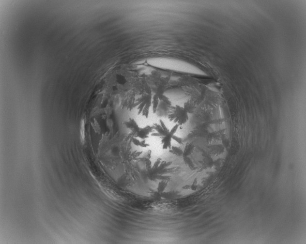 X0000053140070200508081355