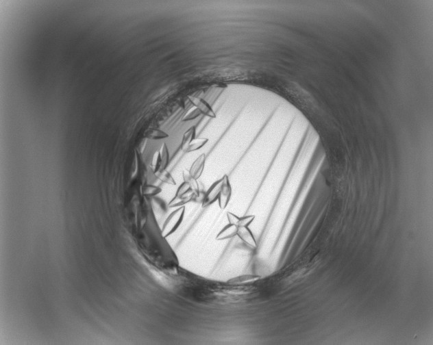 X0000053140072200508081355