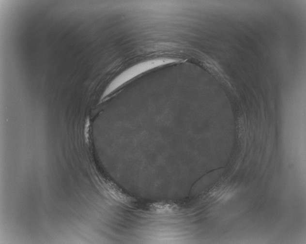 X0000053140073200508081355