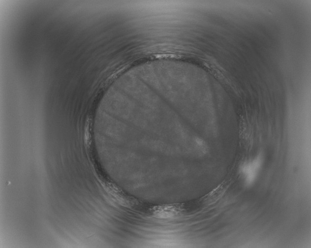 X0000053140074200508081355