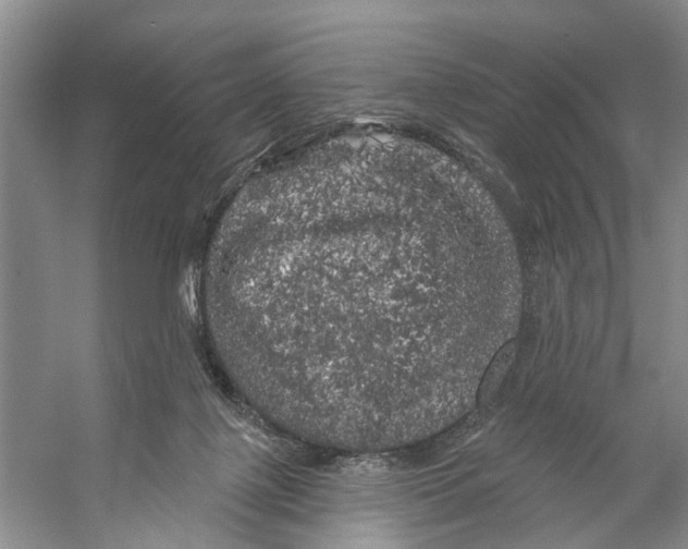 X0000053140075200508081355