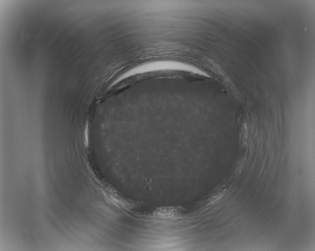 X0000053140076200508081355