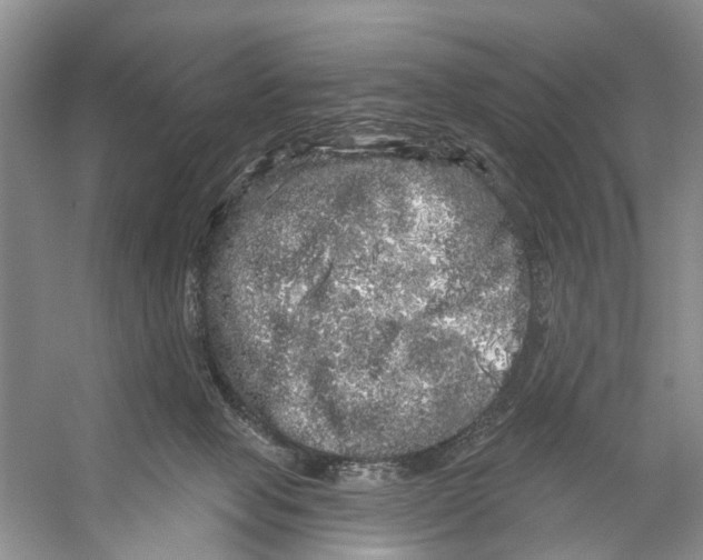 X0000053140077200508081355