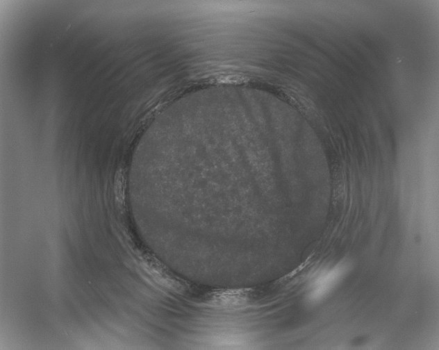 X0000053140078200508081355