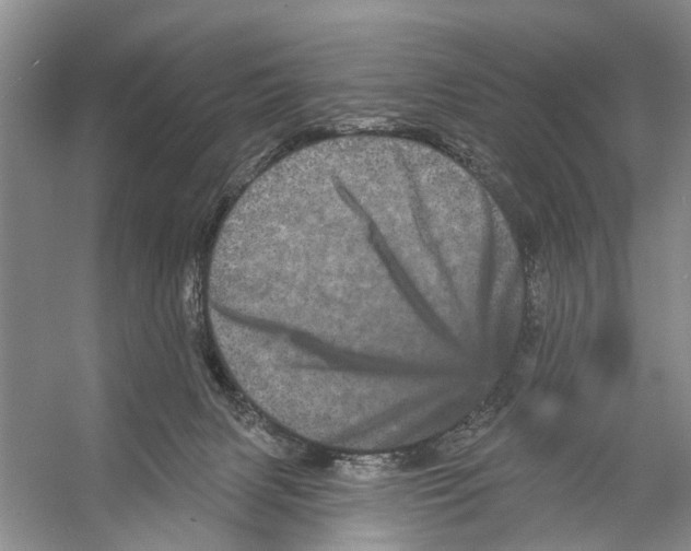 X0000053140079200508081355