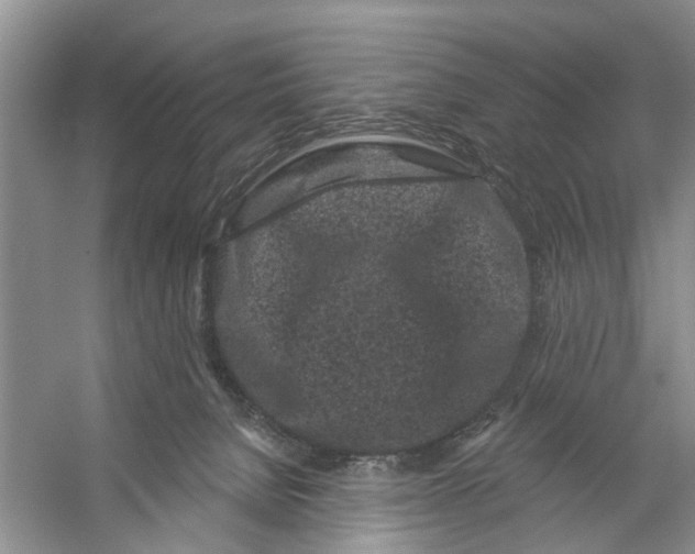 X0000053140080200508081355