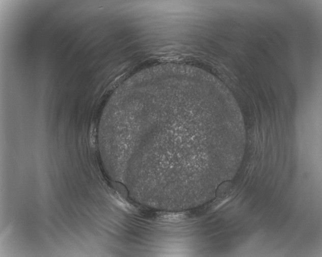 X0000053140081200508081355