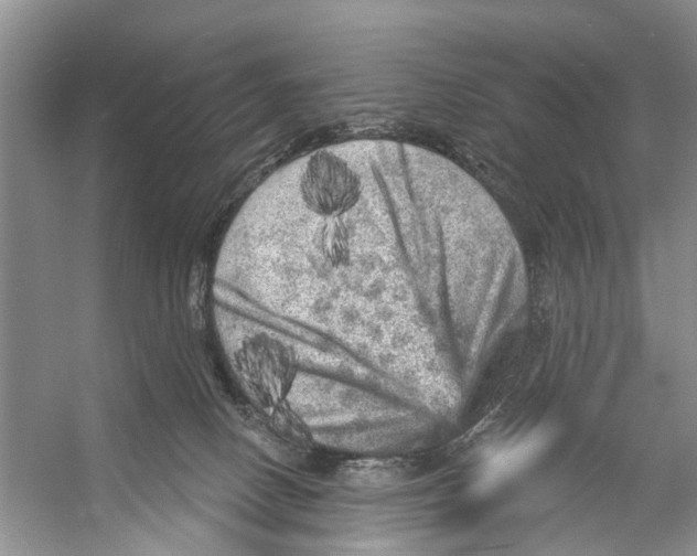 X0000053140082200508081355