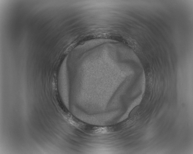 X0000053140083200508081355