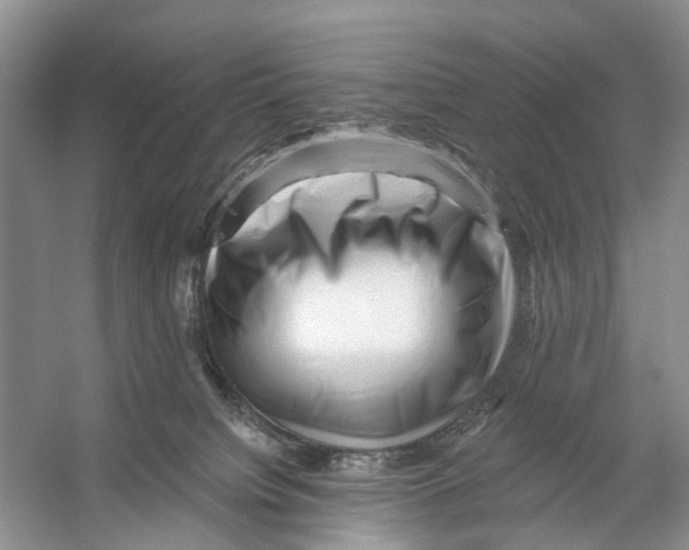 X0000053140084200508081355