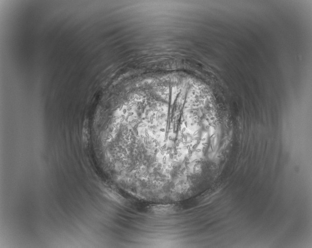 X0000053140085200508081355