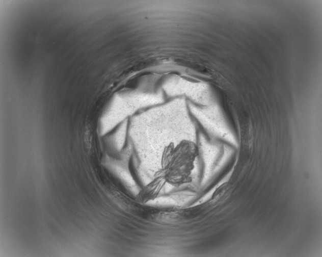 X0000053140086200508081355