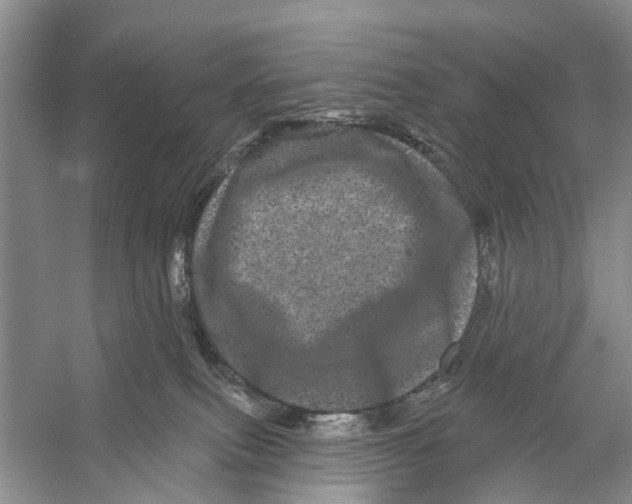 X0000053140087200508081355