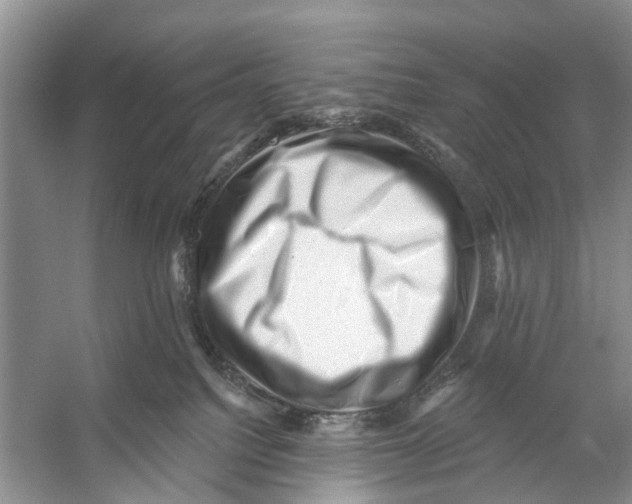 X0000053140088200508081355