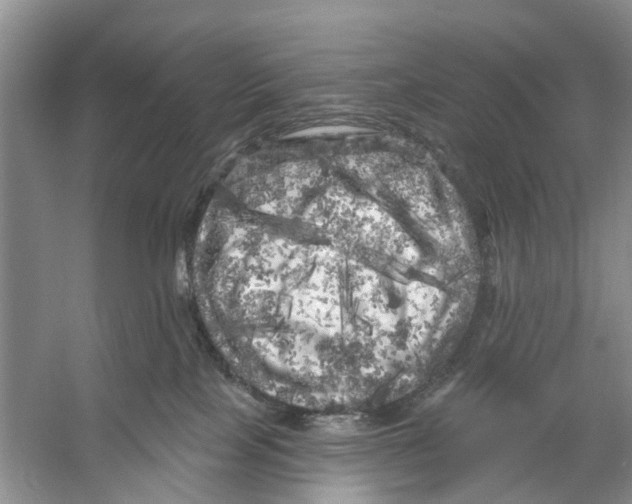 X0000053140089200508081355