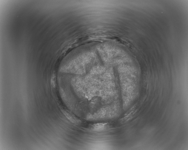 X0000053140090200508081355