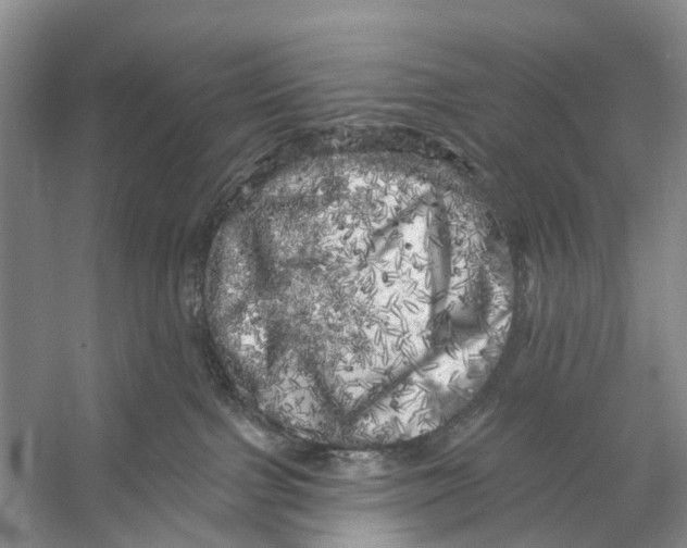 X0000053140091200508081355