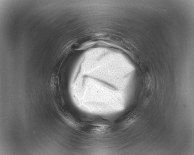 X0000053140092200508081355