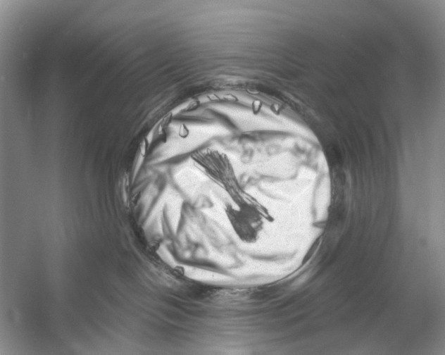 X0000053140094200508081355