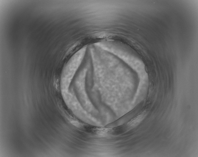 X0000053140096200508081356