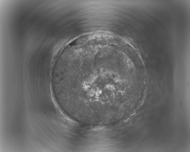 X0000053140097200508081355