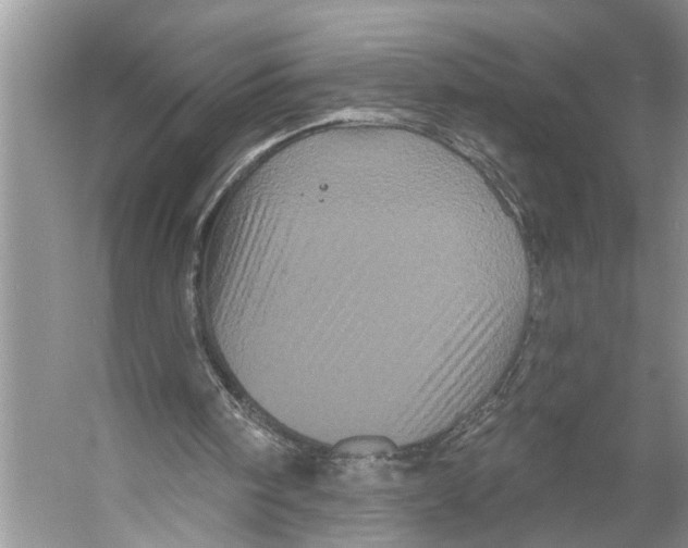 X0000053140098200508081355