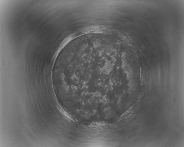 X0000053140099200508081355