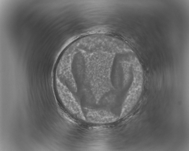 X0000053140100200508081355