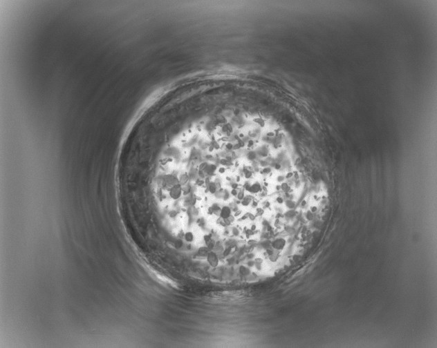 X0000053140102200508081355