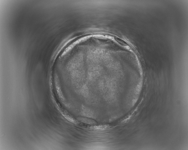 X0000053140103200508081355