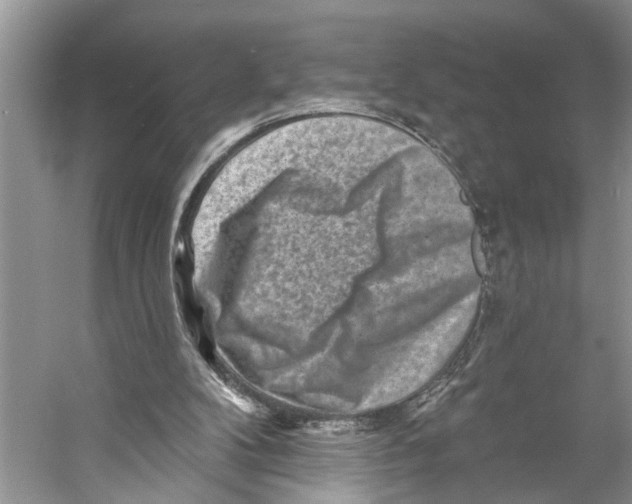 X0000053140104200508081355