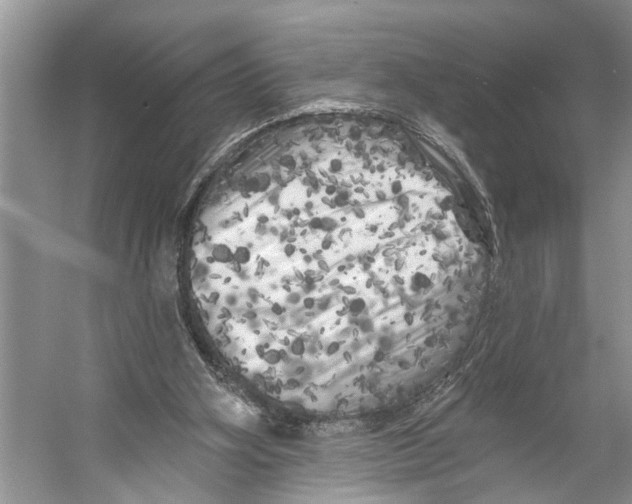 X0000053140106200508081355