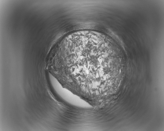 X0000053140107200508081355