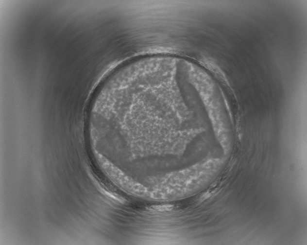 X0000053140108200508081355