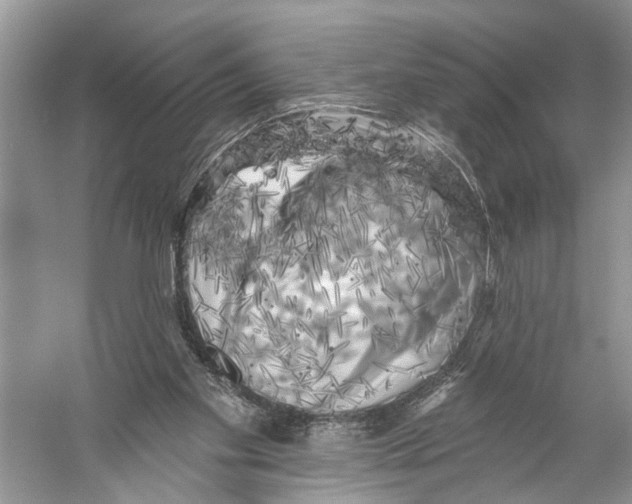 X0000053140109200508081354